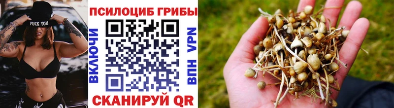 Псилоцибиновые грибы мицелий  blacksprut ONION  Нижние Серги 